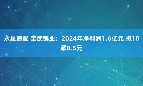 永星速配 宝武镁业：2024年净利润1.6亿元 拟10派0.5元