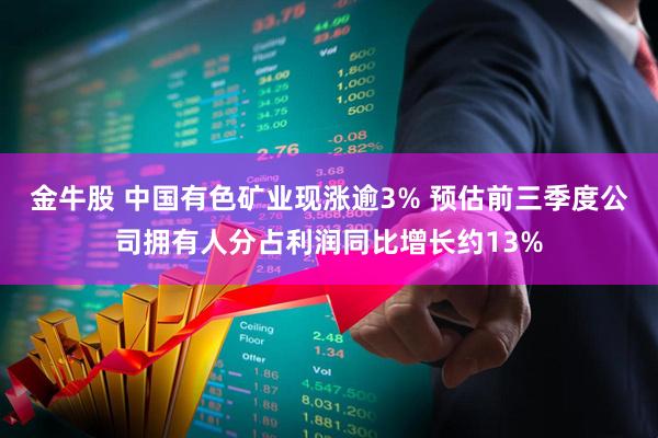 金牛股 中国有色矿业现涨逾3% 预估前三季度公司拥有人分占利润同比增长约13%