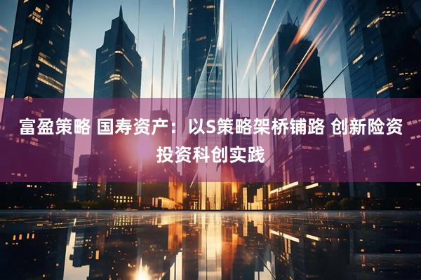 富盈策略 国寿资产：以S策略架桥铺路 创新险资投资科创实践
