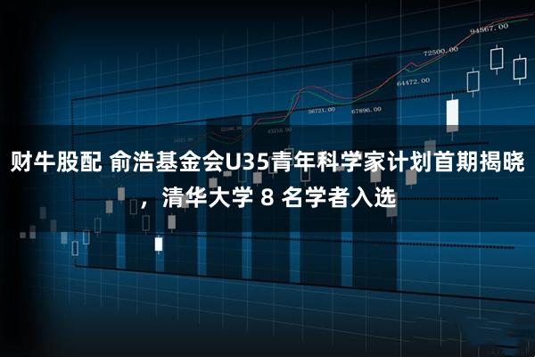 财牛股配 俞浩基金会U35青年科学家计划首期揭晓，清华大学 8 名学者入选